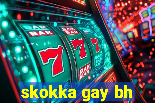 skokka gay bh